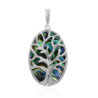 Zilveren hanger met een Abalone schelp