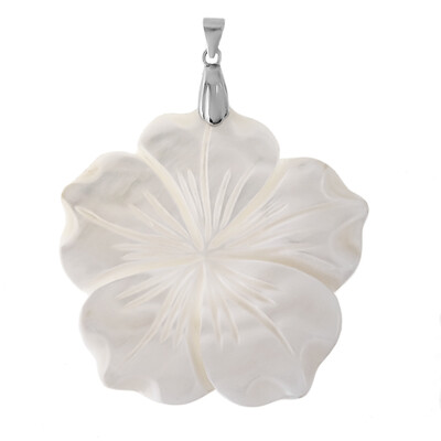 Zilveren hanger met een parelmoer