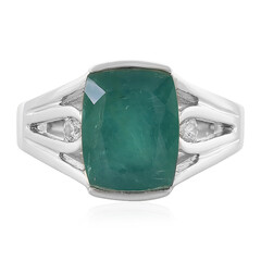 Zilveren ring met een Grandidieriet