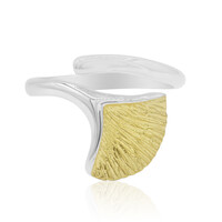 Zilveren ring