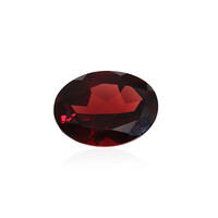 Edelsteen met een Mozambique granaat 14,393 ct
