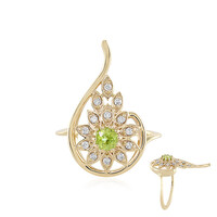 Gouden ring met een demantoid (AMAYANI)