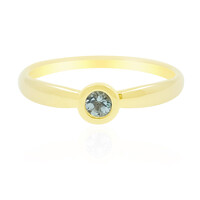 Gouden ring met een Nigeriaanse Paraiba Toermalijn