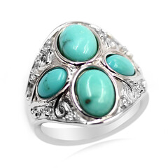 Zilveren ring met Campitos Turkooisen (Anne Bever)