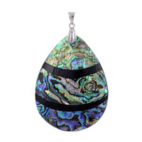Zilveren hanger met een Abalone schelp