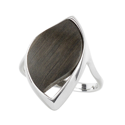 Zilveren ring met een Veeneik (dagen)