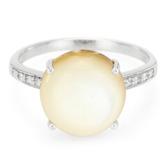 Zilveren ring met een Abalone schelp
