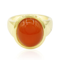 Zilveren ring met een carneool