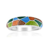 Zilveren ring (SAELOCANA)