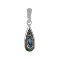 Zilveren hanger met een Abalone schelp