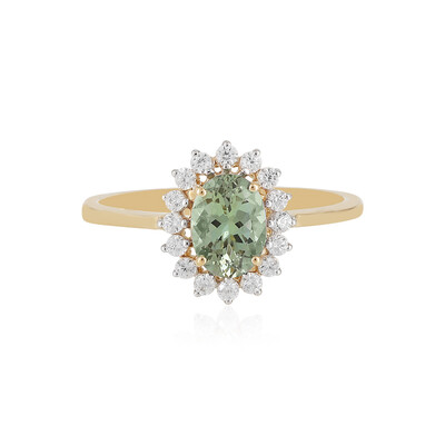Gouden ring met een groene tanzaniet