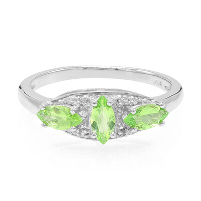 Zilveren ring met Merelani Granaten