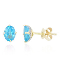 Gouden oorbellen met Blauwe apatieten (de Melo)