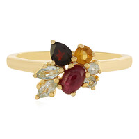 Zilveren ring met een robijn