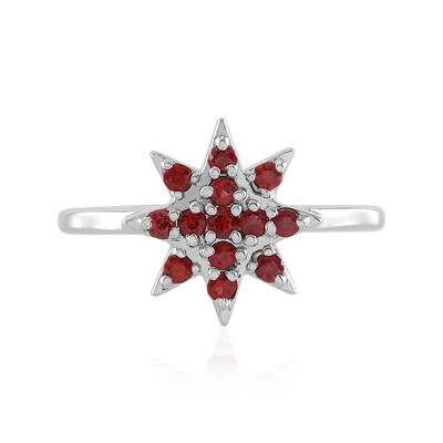 Zilveren ring met een Tanzania robijn (Adela Silber)