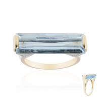 Gouden ring met een AAA Braziliaanse Aquamarijn (de Melo)