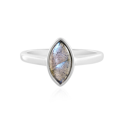Zilveren ring met een labradoriet (MONOSONO COLLECTION)