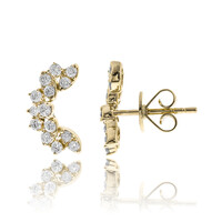 Gouden oorbellen met I1 (H) Diamanten (CIRARI)
