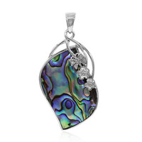 Zilveren hanger met een Abalone schelp (Art of Nature)