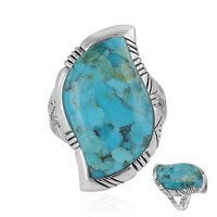 Zilveren ring met een turkoois (Art of Nature)