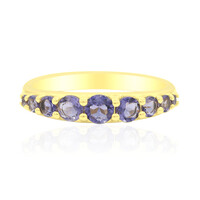 Zilveren ring met een ioliet