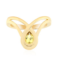 Gouden ring met een Australische gouden beril