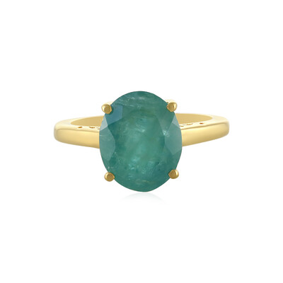Zilveren ring met een Grandidiriet