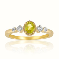 Gouden ring met een Kansas pallavijn