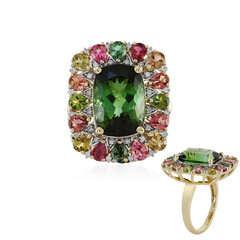 Gouden ring met een Santa Rosa toermalijn (D'vyere)