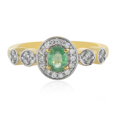 Zilveren ring met een Munt Kyaniet