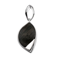 Zilveren hanger met een Veeneik