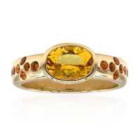 Gouden ring met een gouden beril