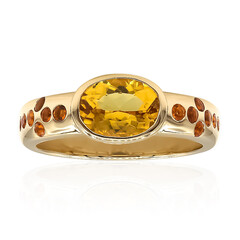 Gouden ring met een gouden beril