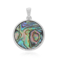 Zilveren hanger met een Abalone schelp