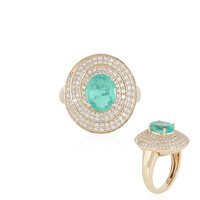 Gouden ring met een Columbiaanse smaragd (de Melo)