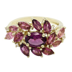 Gouden ring met een rhodliet