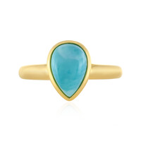 Zilveren ring met een larimar
