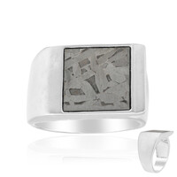 Zilveren ring met een Aletai meteoriet