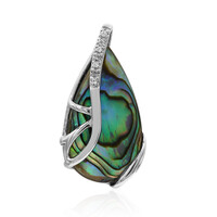 Zilveren hanger met een Abalone schelp