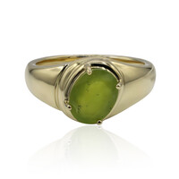 Gouden ring met een Braziliaanse Groene Opaal (Tenner Diniz)