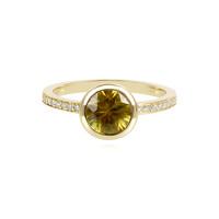 Gouden ring met een Sfeen (AMAYANI)