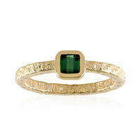 Gouden ring met een groene Benedito toermalijn (Adela Gold)
