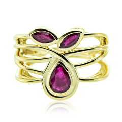 Gouden ring met een robijn (de Melo)