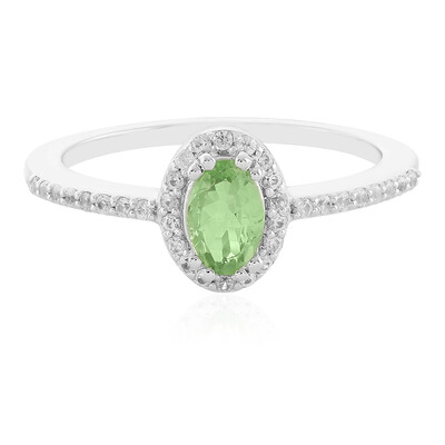 Zilveren ring met een Merelani munt granaat