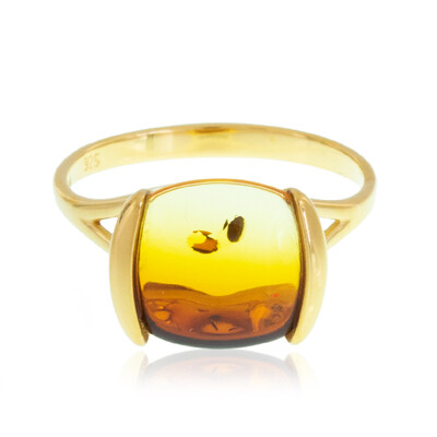 Zilveren ring met een Baltische barnsteen (dagen)
