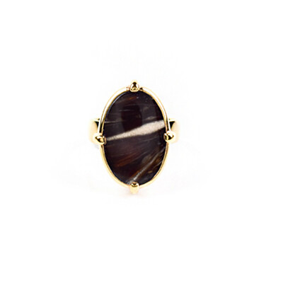 Zilveren ring met een Lof Agaat