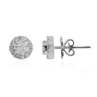 Gouden oorbellen met SI2 (H) Diamanten (Estée Collection)