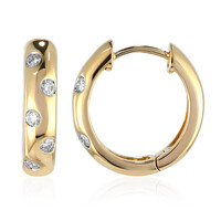 Gouden oorbellen met IF Diamanten (D)