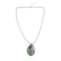 Zilveren halsketting met een Abalone schelp (TPC)