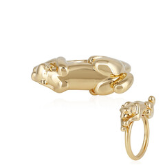 Zilveren ring